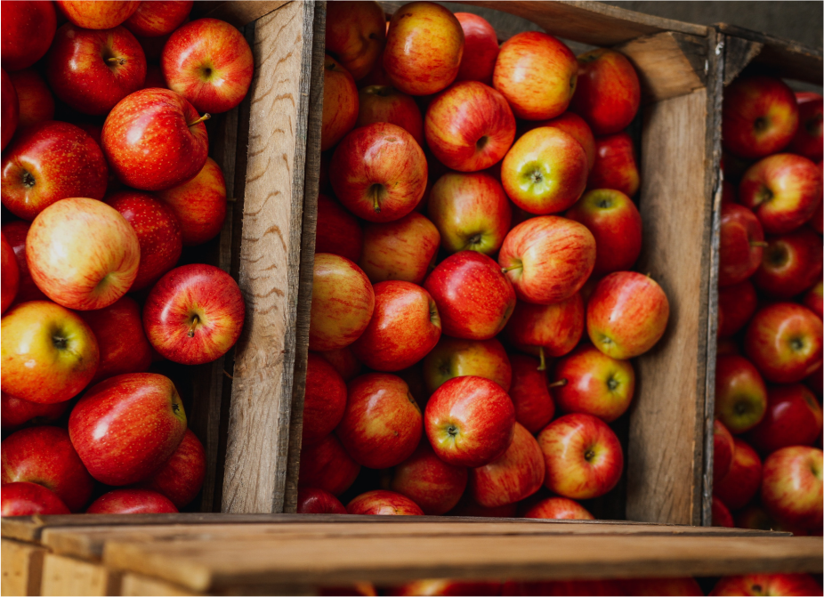 La importancia de la trazabilidad en el transporte de alimentos